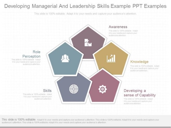 Developing_Managerial_And_Leadership_Skills_Example_Ppt_Examples_1