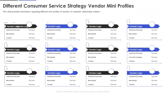 Different Consumer Service Strategy Vendor Mini Profiles Icons PDF