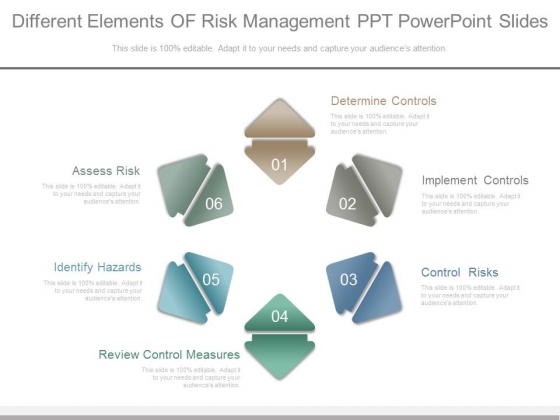 Different Elements Of Risk Management Ppt Powerpoint Slides