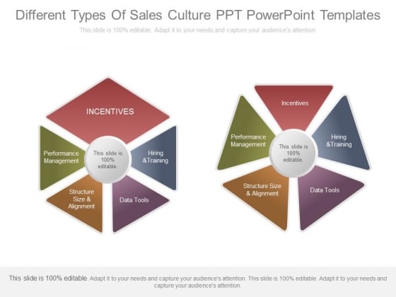 Different Types Of Sales Culture Ppt Powerpoint Templates Different Types Of Sales Culture Ppt Powerpoint Templates