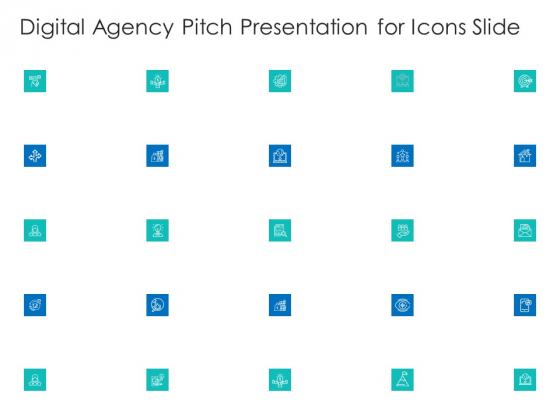 Digital Agency Pitch Presentation Digital Agency Pitch Presentation For Icons Slide Information PDF