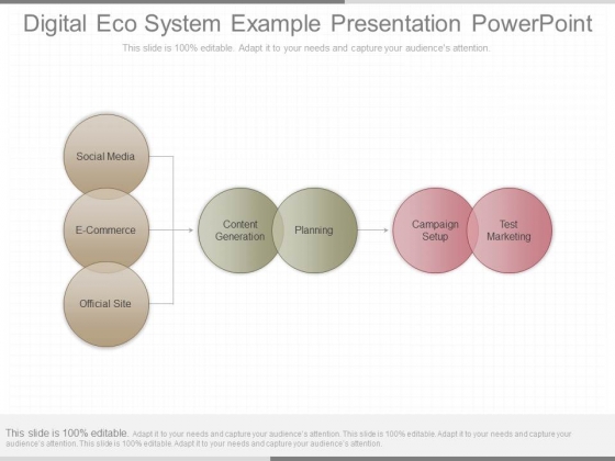 Digital Eco System Example Presentation Powerpoint Digital Eco System Example Presentation Powerpoint