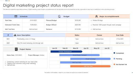 Digital Marketing Project Status Report Sample PDF