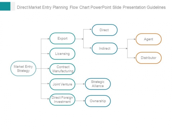 Direct Market Entry Planning Flow Chart Powerpoint Slide Presentation Guidelines