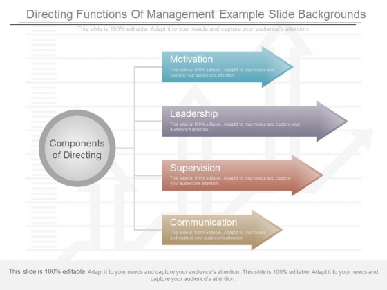 Directing Functions Of Management Example Slide Backgrounds Directing Functions Of Management Example Slide Backgrounds