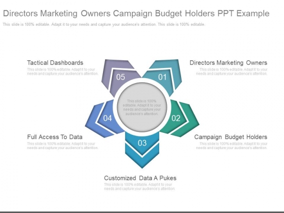 Directors Marketing Owners Campaign Budget Holders Ppt Example