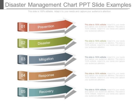 Disaster Management Chart