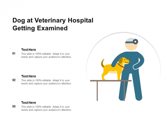 Dog At Veterinary Hospital Getting Examined Ppt PowerPoint Presentation Ideas Brochure PDF Dog At Veterinary Hospital Getting Examined Ppt PowerPoint Presentation Ideas Brochure PDF