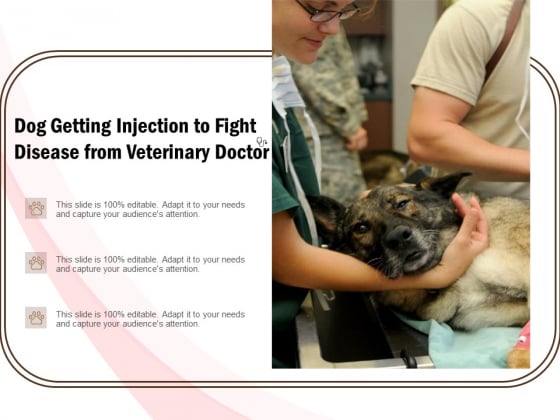 Dog Getting Injection To Fight Disease From Veterinary Doctor Ppt PowerPoint Presentation Summary PDF Dog Getting Injection To Fight Disease From Veterinary Doctor Ppt PowerPoint Presentation Summary PDF