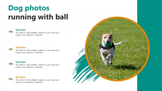 Dog Photos Running With Ball Ppt PowerPoint Presentation File Format PDF