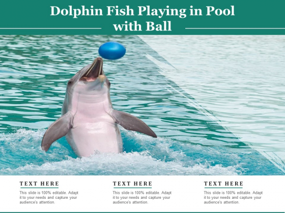 Dolphin Fish Playing In Pool With Ball Ppt PowerPoint Presentation File Show PDF