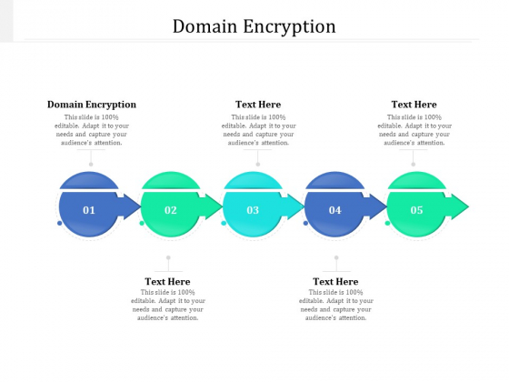 Domain Encryption Ppt PowerPoint Presentation Styles Outline Cpb Pdf