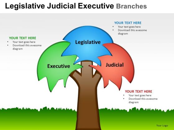 Design Legislative Judicial Executive Branches PowerPoint Slides And Ppt Diagram Templates