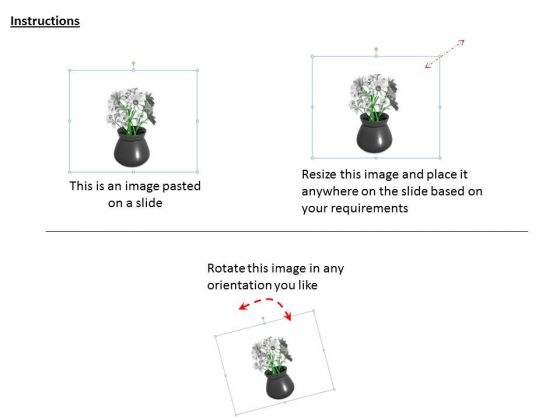 developing_business_strategy_grey_flower_vase_icons_images_2