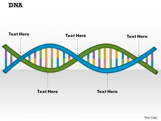 Dna PowerPoint Presentation Template Dna PowerPoint Presentation Template