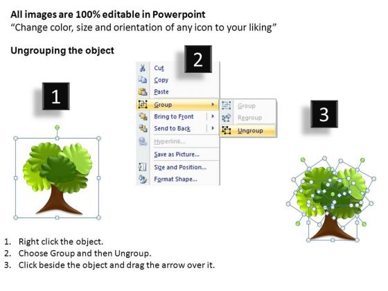 download editable family tree powerpoint templates family tree ppt template