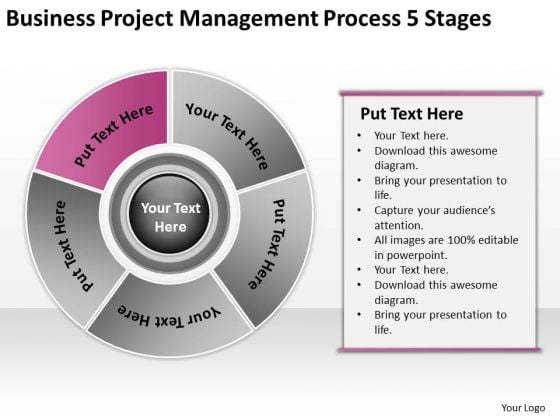 Download Project Management Process 5 Stages Business Plan Examples PowerPoint Slides