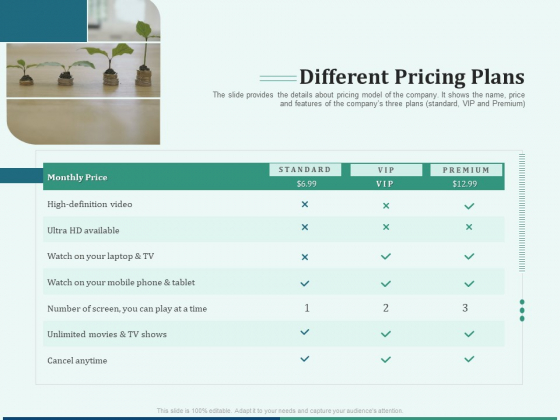 Early Stage Funding Different Pricing Plans Ppt Professional Design Templates PDF Early Stage Funding Different Pricing Plans Ppt Professional Design Templates PDF