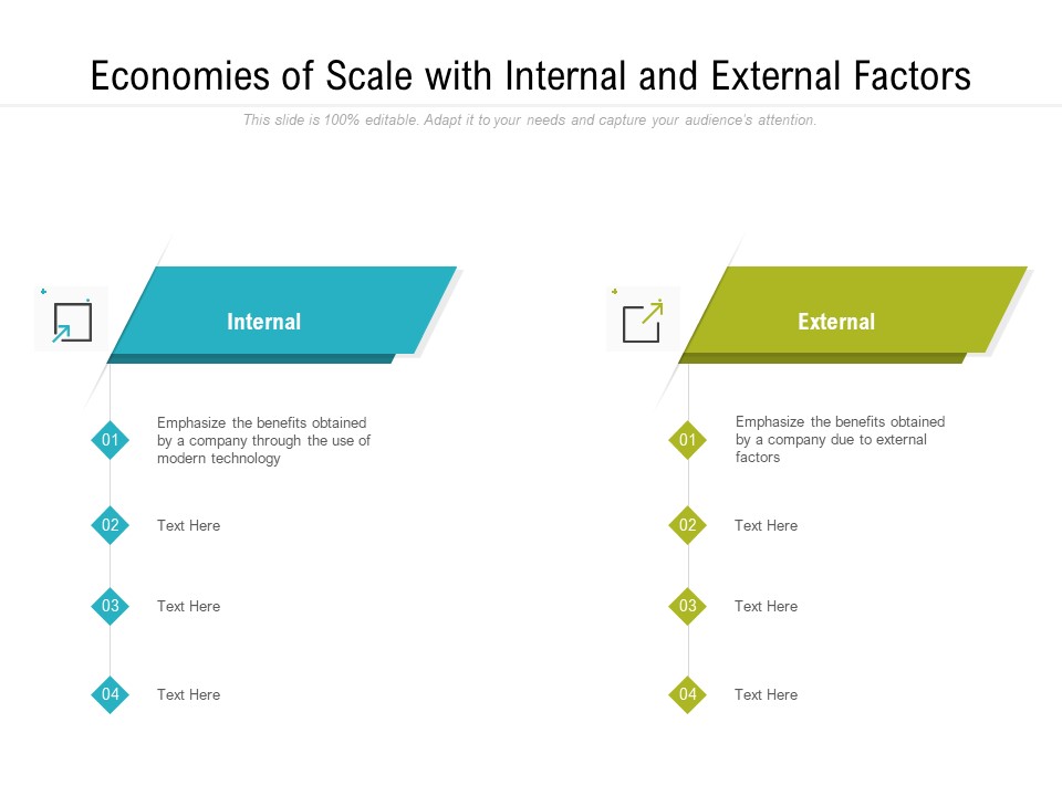 Economies Of Scale With Internal And External Factors Ppt PowerPoint Presentation Diagram Templates PDF