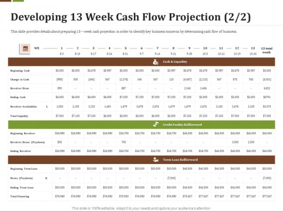 Effective Corporate Turnaround Management Developing 13 Week Cash Flow Projection Liquidity Structure PDF Slide 1