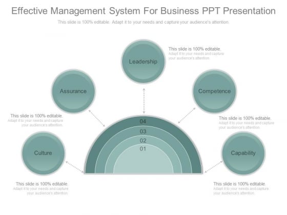Effective Management System For Business Ppt Presentation Effective Management System For Business Ppt Presentation