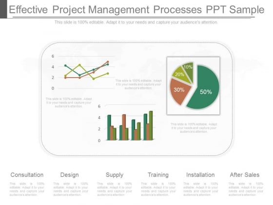 Effective Project Management Processes Ppt Sample Effective Project Management Processes Ppt Sample