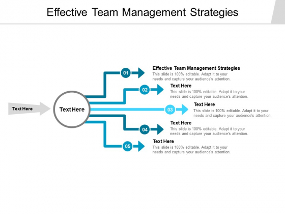 Effective Team Management Strategies Ppt PowerPoint Presentation Summary Display Cpb