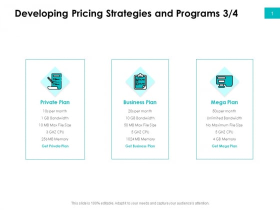 Effectivity Associated To Target Market Developing Pricing Strategies And Programs Private Template PDF Effectivity Associated To Target Market Developing Pricing Strategies And Programs Private Template PDF
