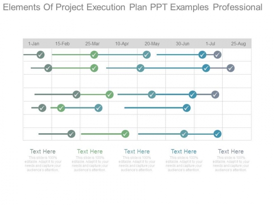 Elements Of Project Execution Plan Ppt Examples Professional