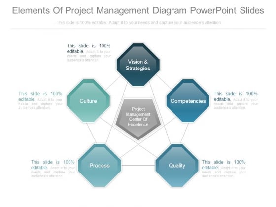 Elements Of Project Management Diagram Powerpoint Slides