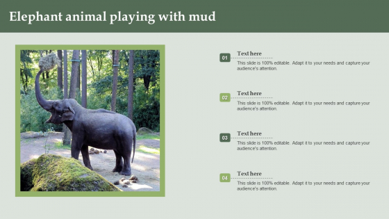 Elephant Animal Playing With Mud Ppt PowerPoint Presentation Outline Format PDF