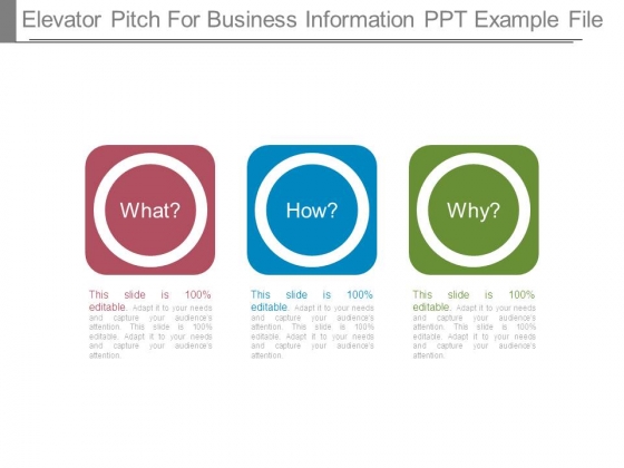 Elevator Pitch For Business Information Ppt Example File Elevator Pitch For Business Information Ppt Example File