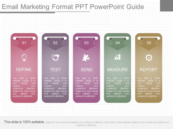 Email Marketing Format Ppt Powerpoint Guide Email Marketing Format Ppt Powerpoint Guide