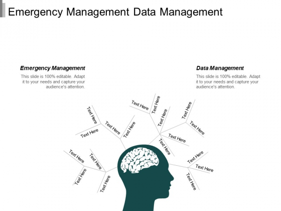 Emergency Management Data Management Management Facility Planning Ppt PowerPoint Presentation Infographics Graphics Tutorials Emergency Management Data Management Management Facility Planning Ppt PowerPoint Presentation Infographics Graphics Tutorials