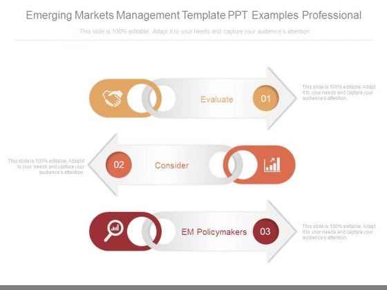 Emerging Markets Management Template Ppt Examples Professional Emerging Markets Management Template Ppt Examples Professional