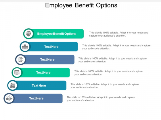 Employee Benefit Options Ppt PowerPoint Presentation Infographics Elements