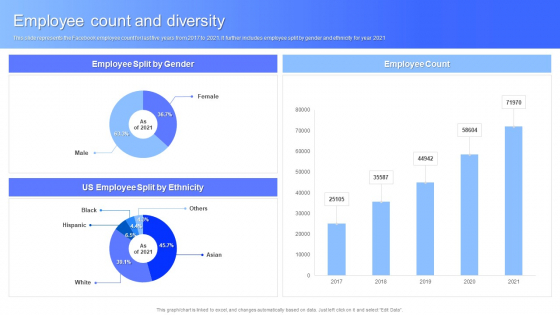 Employee Count And Diversity Facebook Business Outline Template PDF Employee Count And Diversity Facebook Business Outline Template PDF