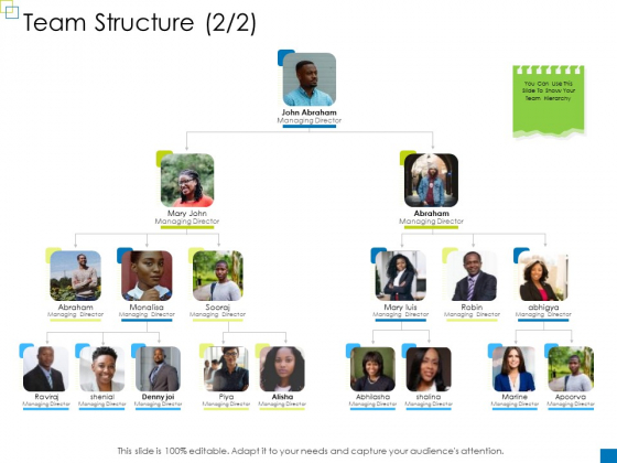 Enterprise Management Team Structure Ideas PDF