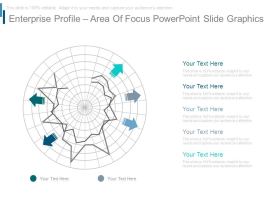 Enterprise Profile Area Of Focus Powerpoint Slide Graphics Enterprise Profile Area Of Focus Powerpoint Slide Graphics