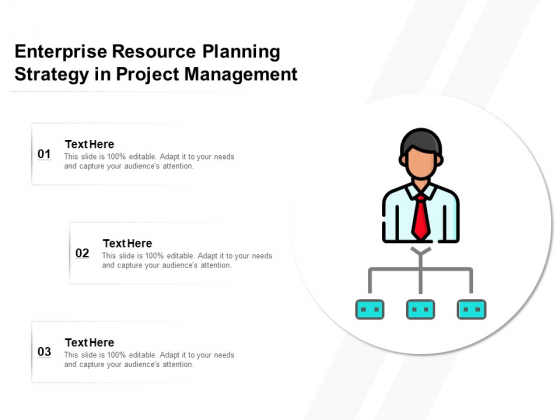 Enterprise Resource Planning Strategy In Project Management Ppt PowerPoint Presentation Portfolio Gallery PDF Enterprise Resource Planning Strategy In Project Management Ppt PowerPoint Presentation Portfolio Gallery PDF