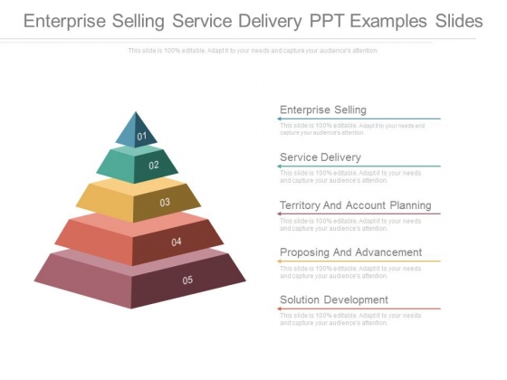 Enterprise Selling Service Delivery Ppt Examples Slides