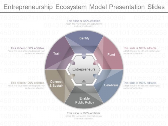 Entrepreneurship Ecosystem Model Presentation Slides Entrepreneurship Ecosystem Model Presentation Slides