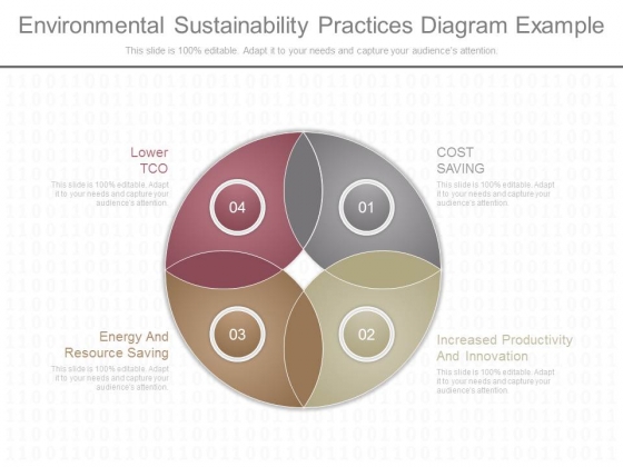 Environmental Sustainability Practices Diagram Example