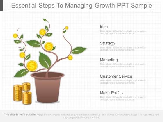 Essential Steps To Managing Growth Ppt Sample Essential Steps To Managing Growth Ppt Sample
