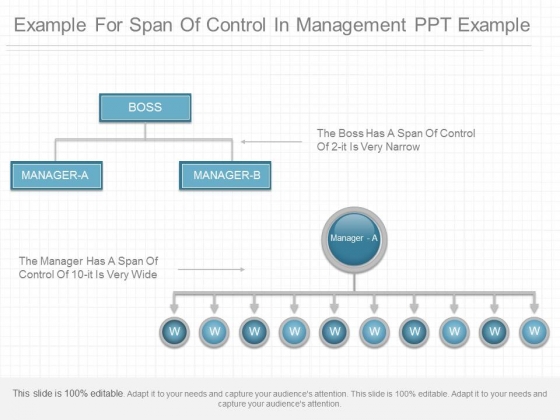 example for span of control in management ppt example powerpoint span of control