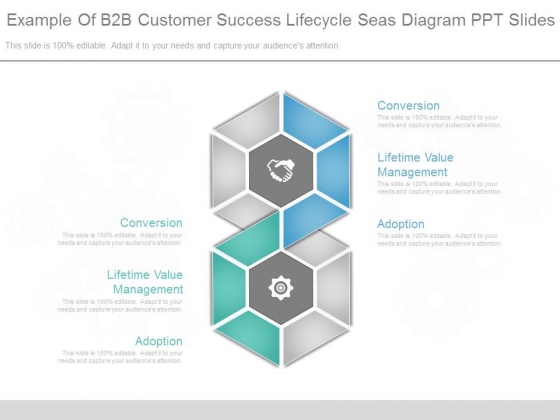 Example Of B2b Customer Success Lifecycle Seas Diagram Ppt Slides Example Of B2b Customer Success Lifecycle Seas Diagram Ppt Slides