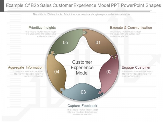 Example Of B2b Sales Customer Experience Model Ppt Powerpoint Shapes
