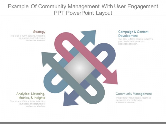 Example Of Community Management With User Engagement Ppt Powerpoint Layout