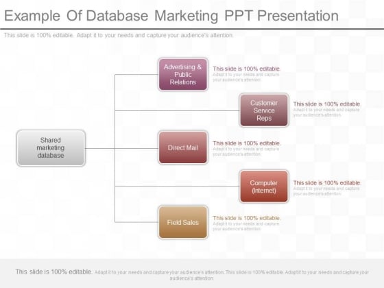 Example Of Database Marketing Ppt Presentation Example Of Database Marketing Ppt Presentation