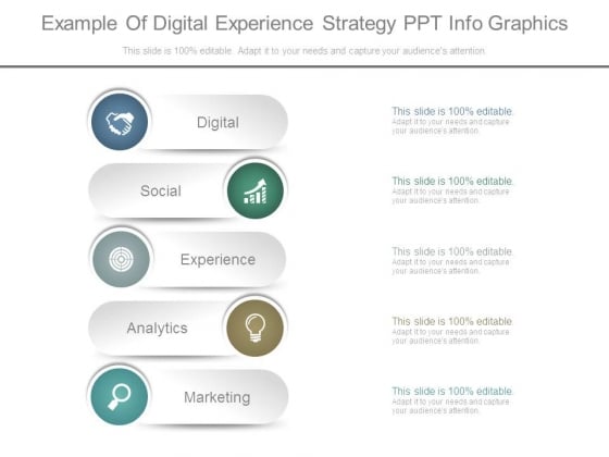 Example Of Digital Experience Strategy Ppt Info Graphics Example Of Digital Experience Strategy Ppt Info Graphics